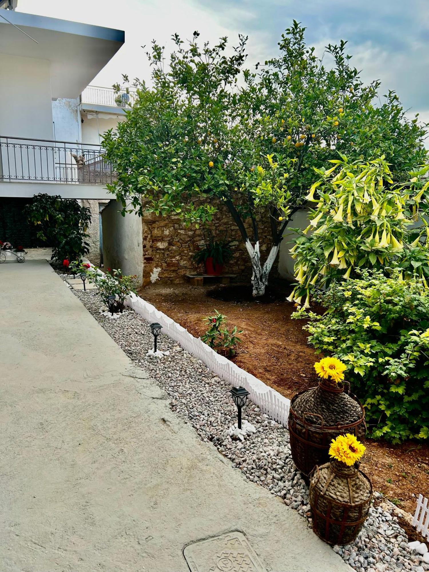 Flower House In Koropi-Near Airport Exteriér fotografie